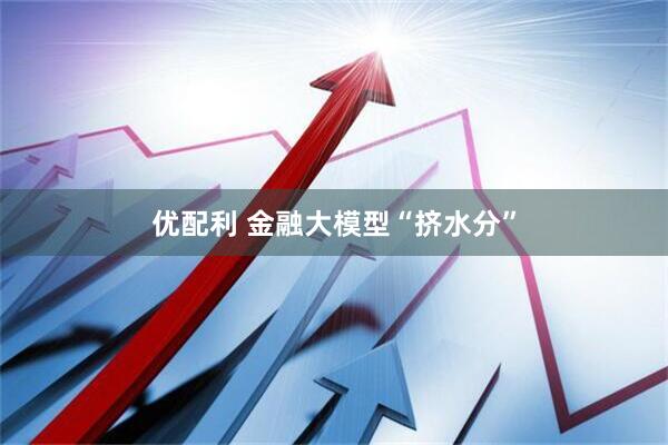 优配利 金融大模型“挤水分”